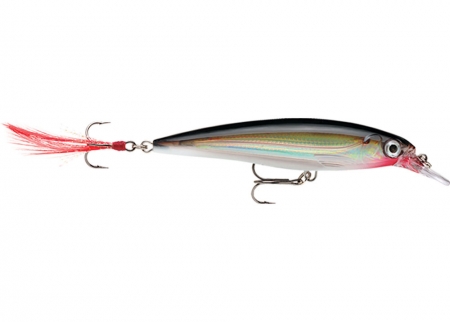 Rapala X Rap 10cm Silver