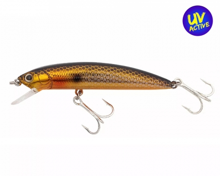 Ecogear MW70S 557 Gold Shad Orange Belly UV*