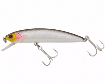 Ecogear MW70S 556 Black Shad