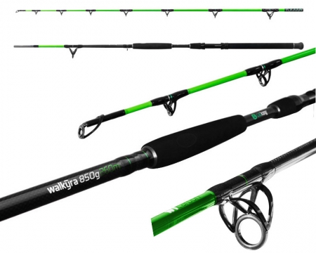Delphin Walkyra 2,60m 850g 2tg