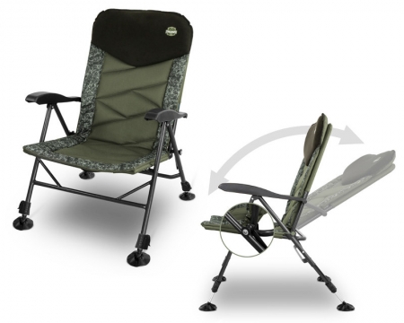 Delphin Chair Triumph C2G