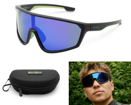 Delphin Polarisations Brille View