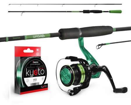 Delphin Green Spinn Set 210cm + Rolle + Schnur