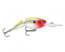 Rapala Joited Shad Rap 7cm CLN