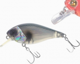 R2S Biggie 57 BR Abalone Shad C05