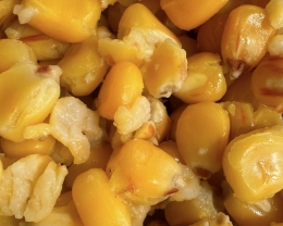 Mivardi Particle Corn Honig 1kg